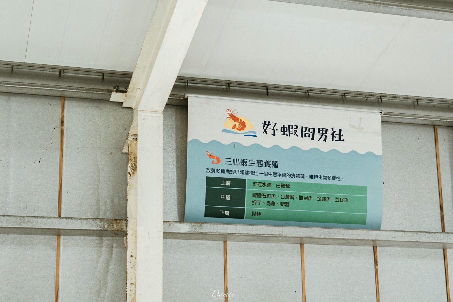 雲林彰化景點|雲彰漁業廊道-從雲林摸魚到彰化,一日生態小旅行 - 第5張圖