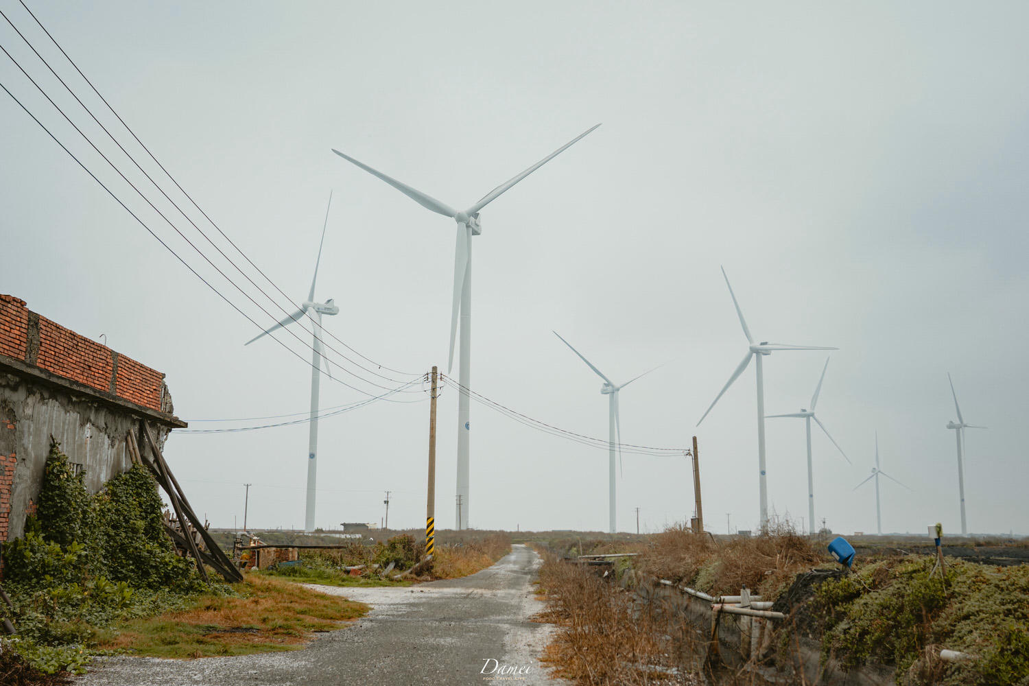 雲林彰化景點|雲彰漁業廊道-從雲林摸魚到彰化,一日生態小旅行 - 第76張圖