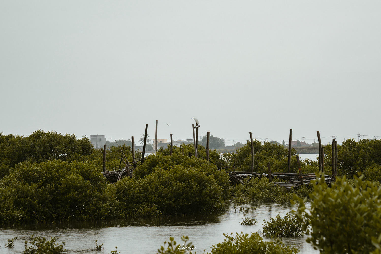 雲林彰化景點|雲彰漁業廊道-從雲林摸魚到彰化,一日生態小旅行 - 第34張圖