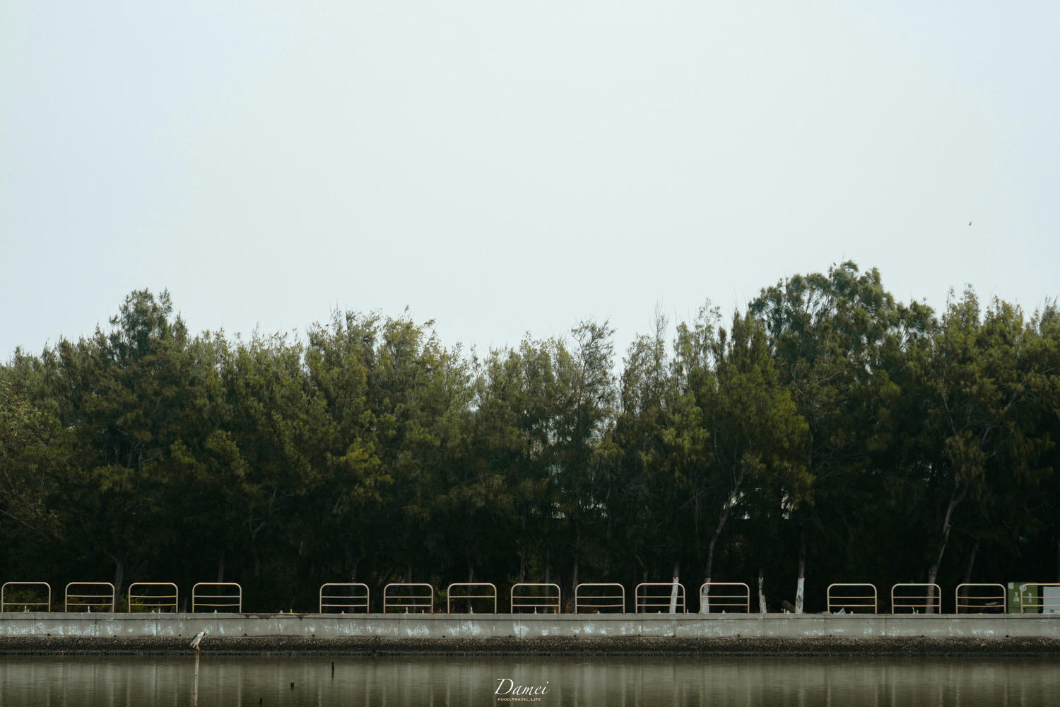 雲林彰化景點|雲彰漁業廊道-從雲林摸魚到彰化,一日生態小旅行 - 第88張圖
