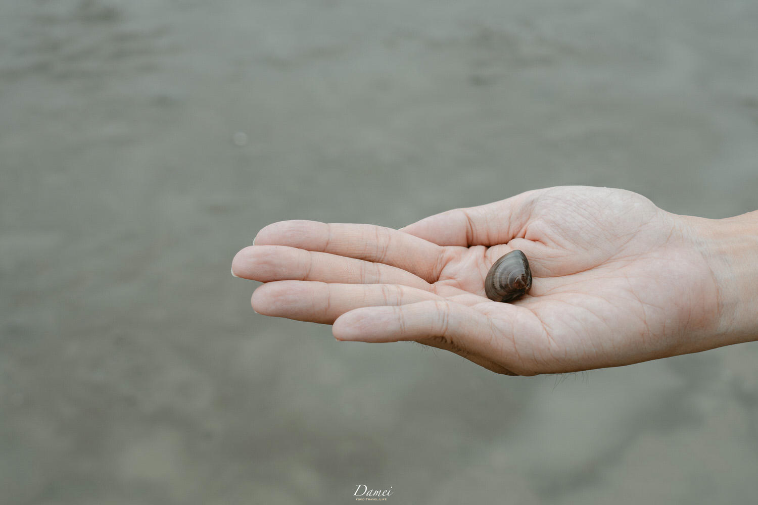 雲林彰化景點|雲彰漁業廊道-從雲林摸魚到彰化,一日生態小旅行 - 第68張圖