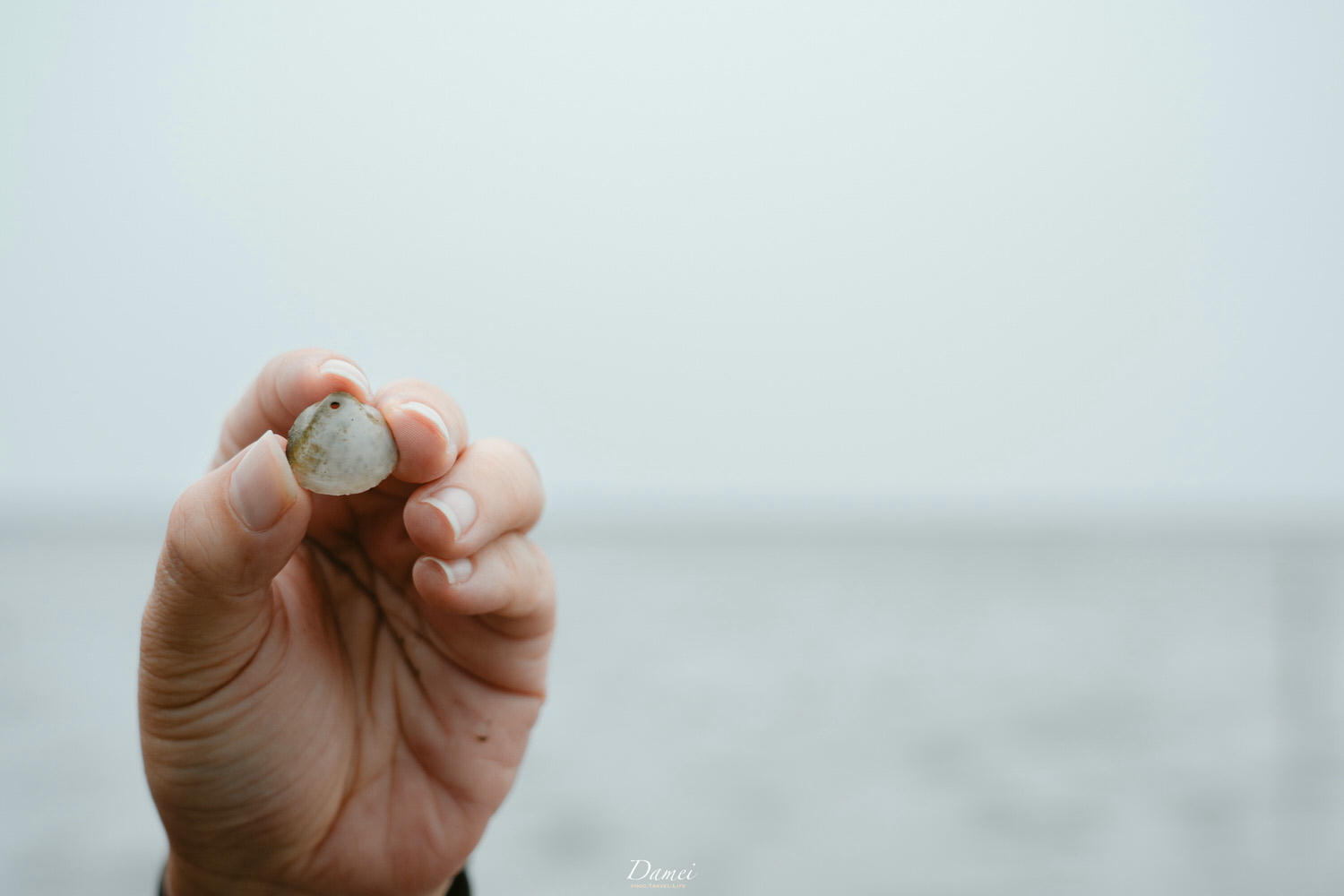 雲林彰化景點|雲彰漁業廊道-從雲林摸魚到彰化,一日生態小旅行 - 第71張圖
