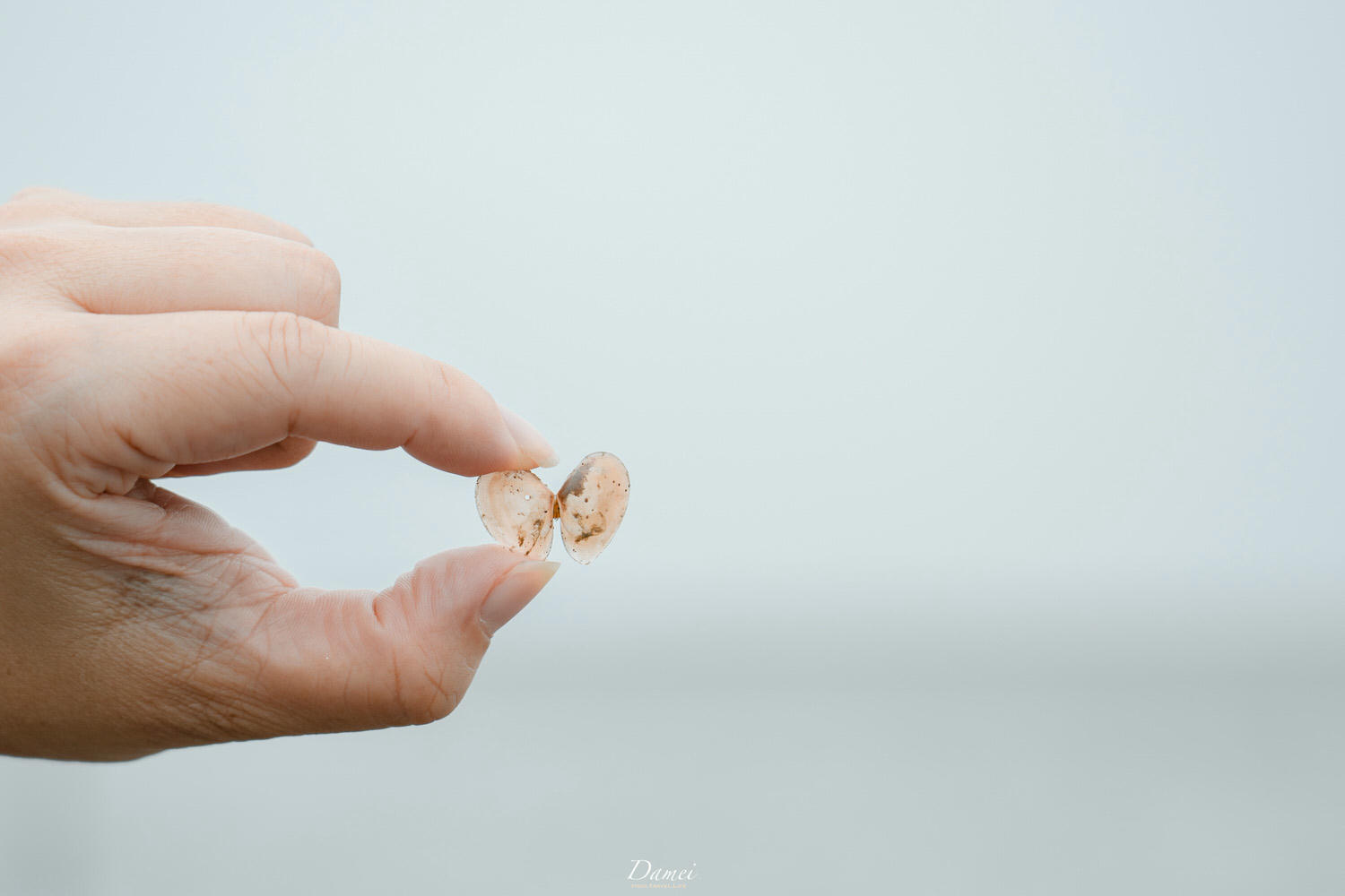 雲林彰化景點|雲彰漁業廊道-從雲林摸魚到彰化,一日生態小旅行 - 第70張圖