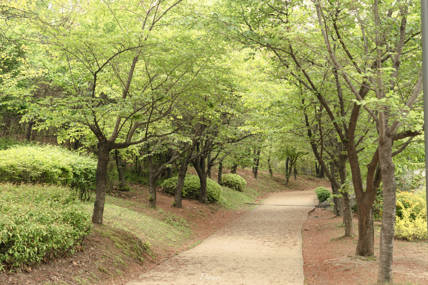 首爾林 서울숲 18