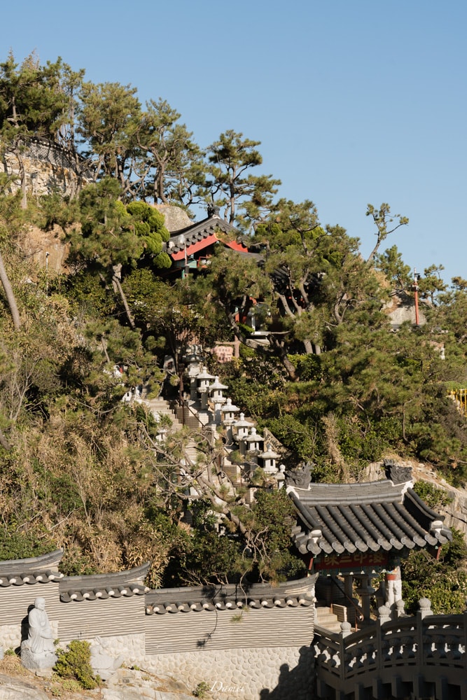 海東龍宮寺-釜山海上龍宮,最為壯麗的寺院 - 第30張圖