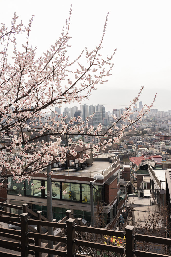 Comfort Cafe콤포트-眺望首爾市景與南山塔,讓人著迷不已的複合式咖啡展覽空間 - 第2張圖