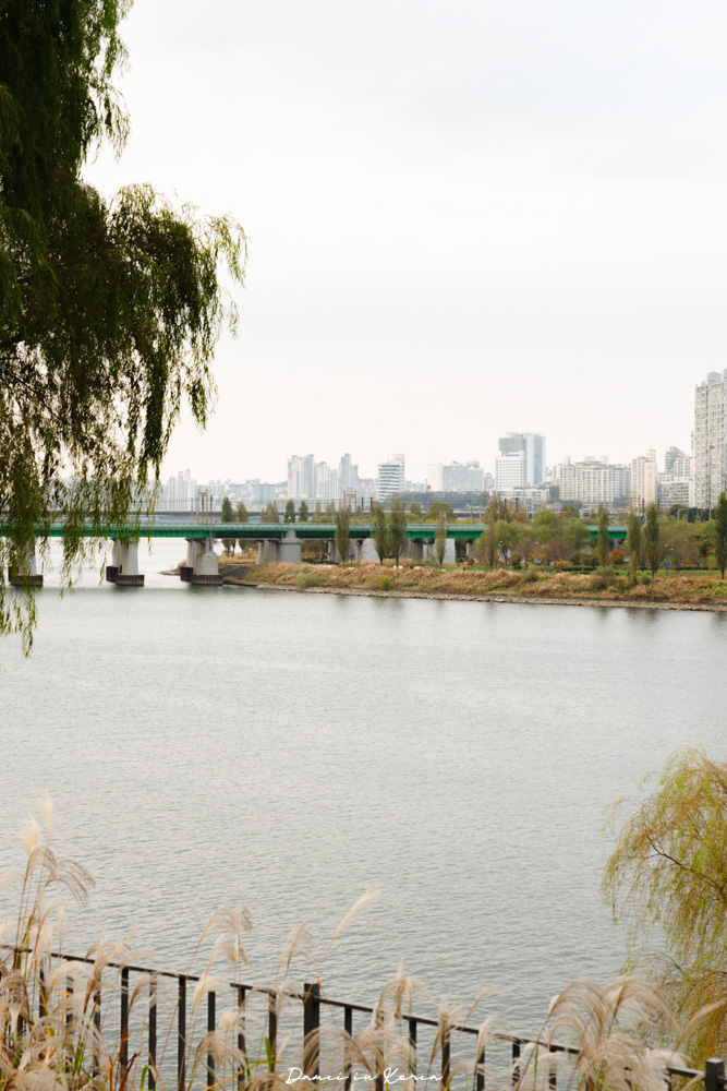韓國首爾|鷺得島 노들섬-別只去漢江公園!韓國人野餐新去處,在首爾獲得療癒的方法 - 第33張圖