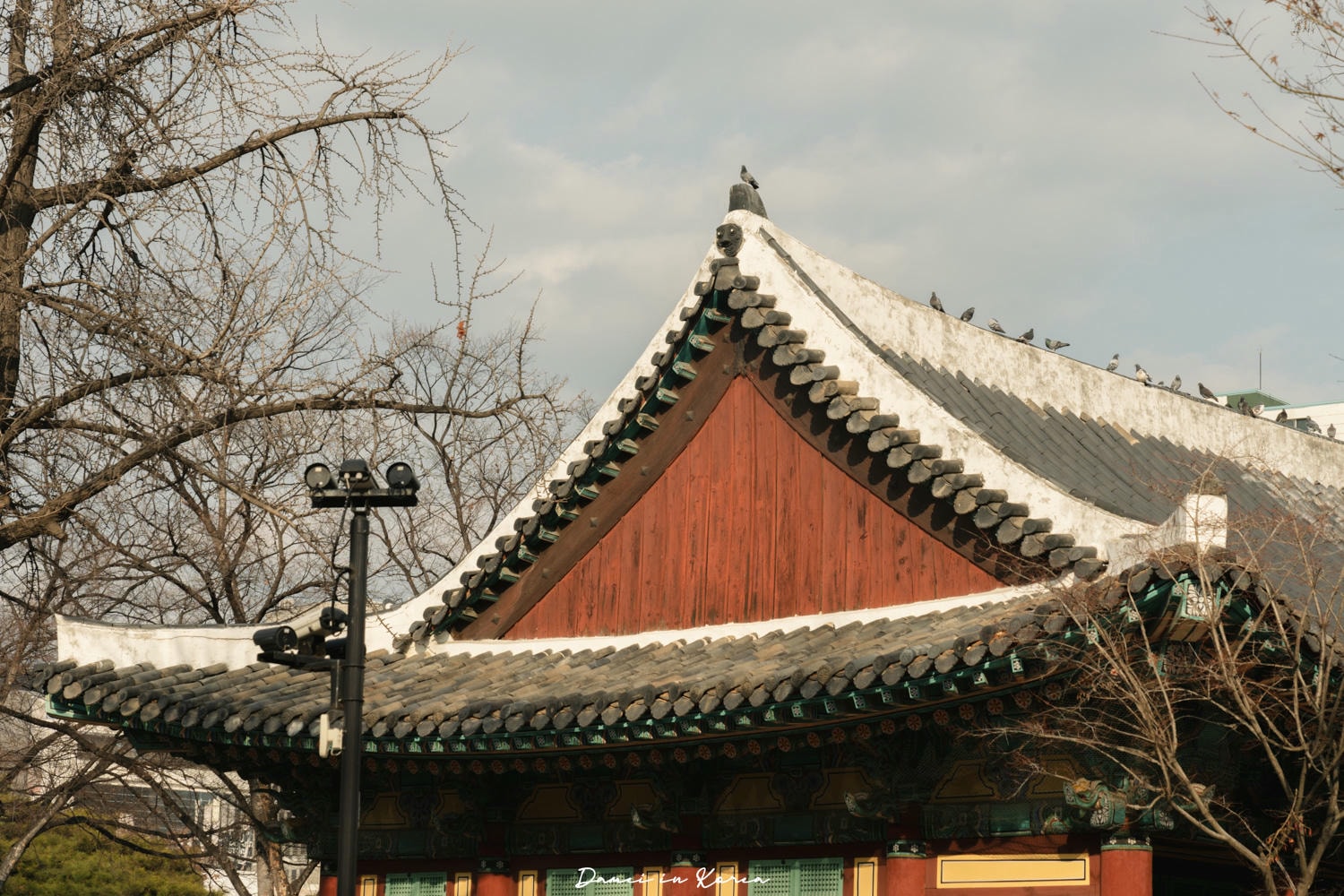 韓國大邱|慶尚監營公園-四季不同美景,小眾卻很有價值的景點 - 第9張圖