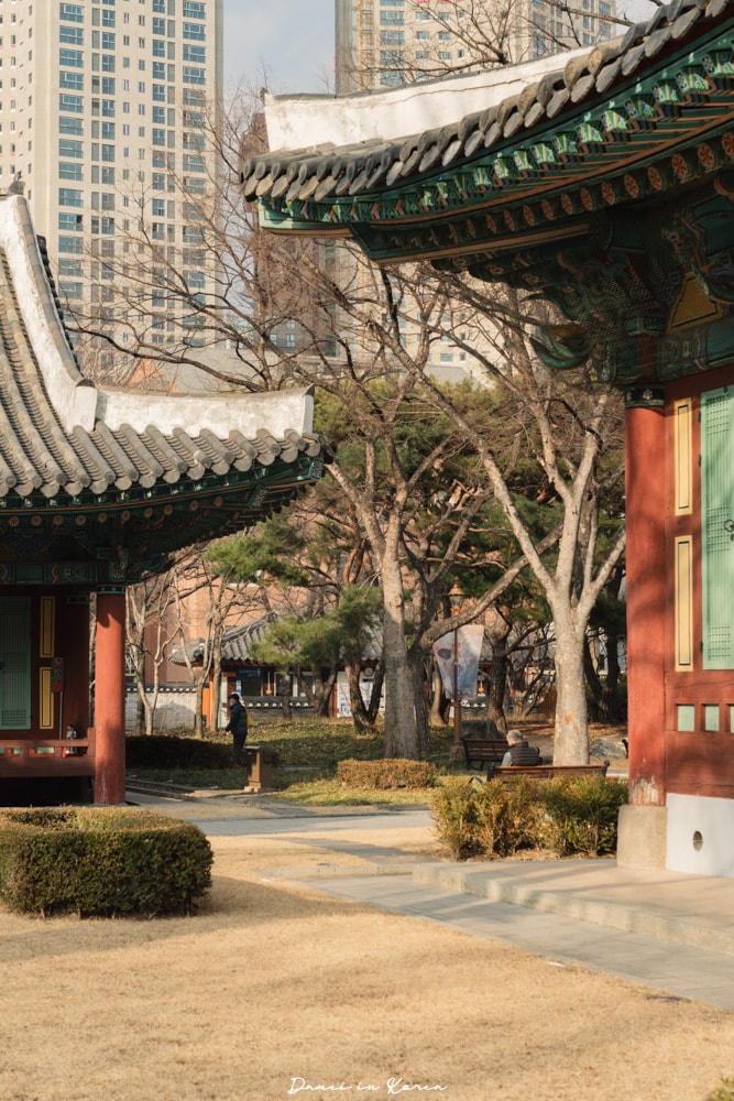 韓國大邱|慶尚監營公園-四季不同美景,小眾卻很有價值的景點 - 第7張圖