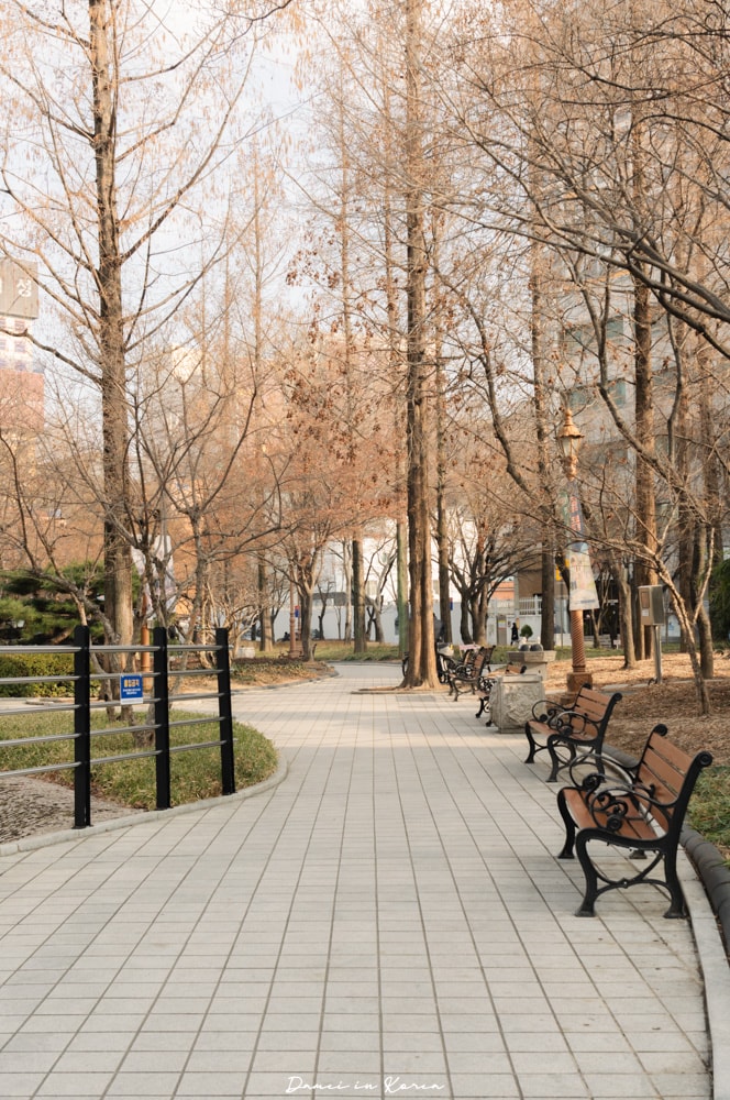 韓國大邱|慶尚監營公園-四季不同美景,小眾卻很有價值的景點 - 第12張圖