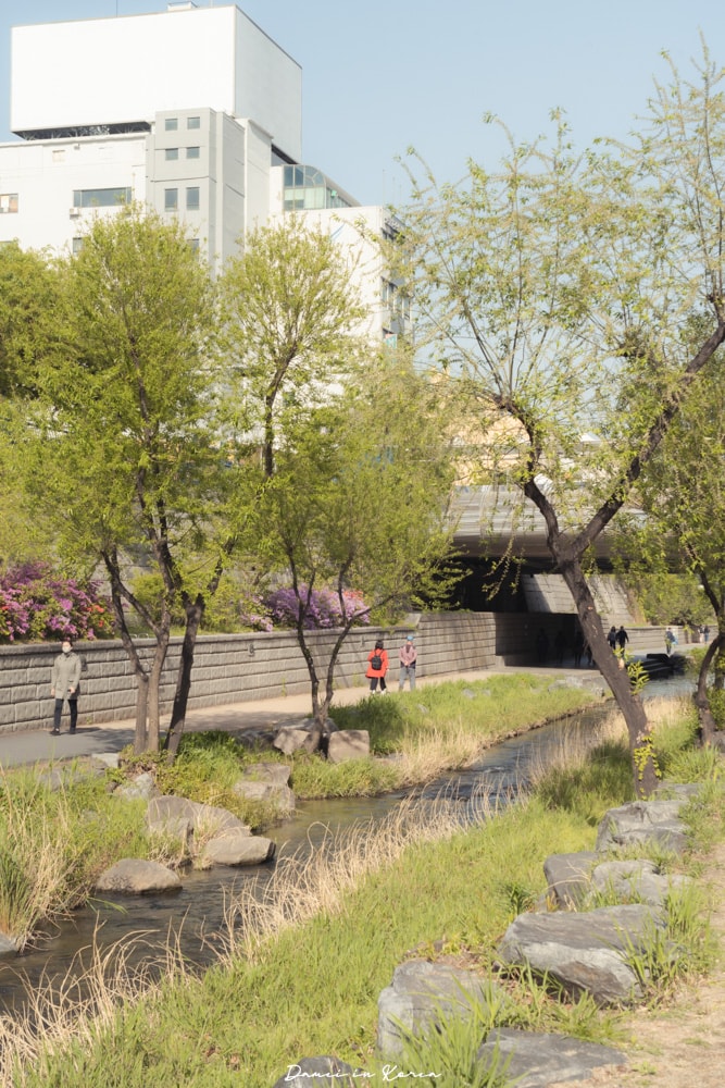 清溪川청계천,連接首爾發展歷史的存在,超療癒的河川廊道 - 第10張圖