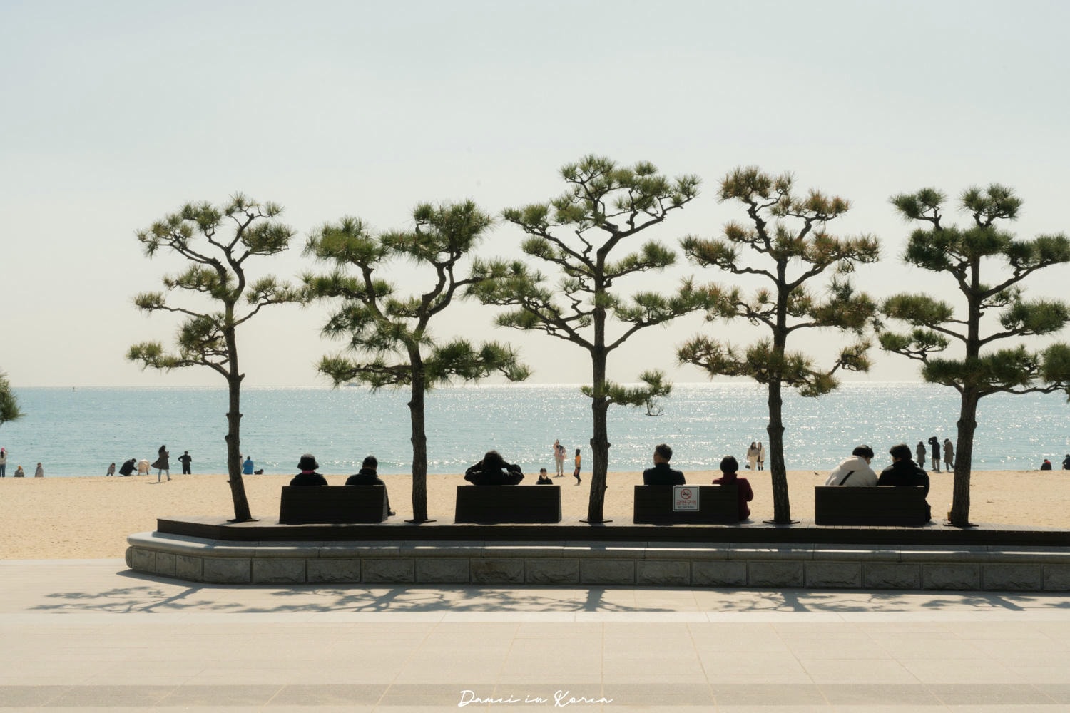 釜山必去!海雲台海水浴場,湛藍海水與白沙灣,還有釜山代表的海鷗群 - 第9張圖