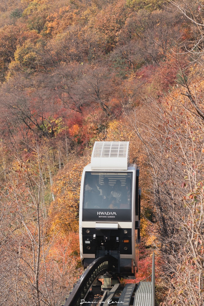 2025韓國賞楓必去!和談林(화담숲)搭單軌列車,欣賞各種顏色交錯的楓樹林 - 第11張圖