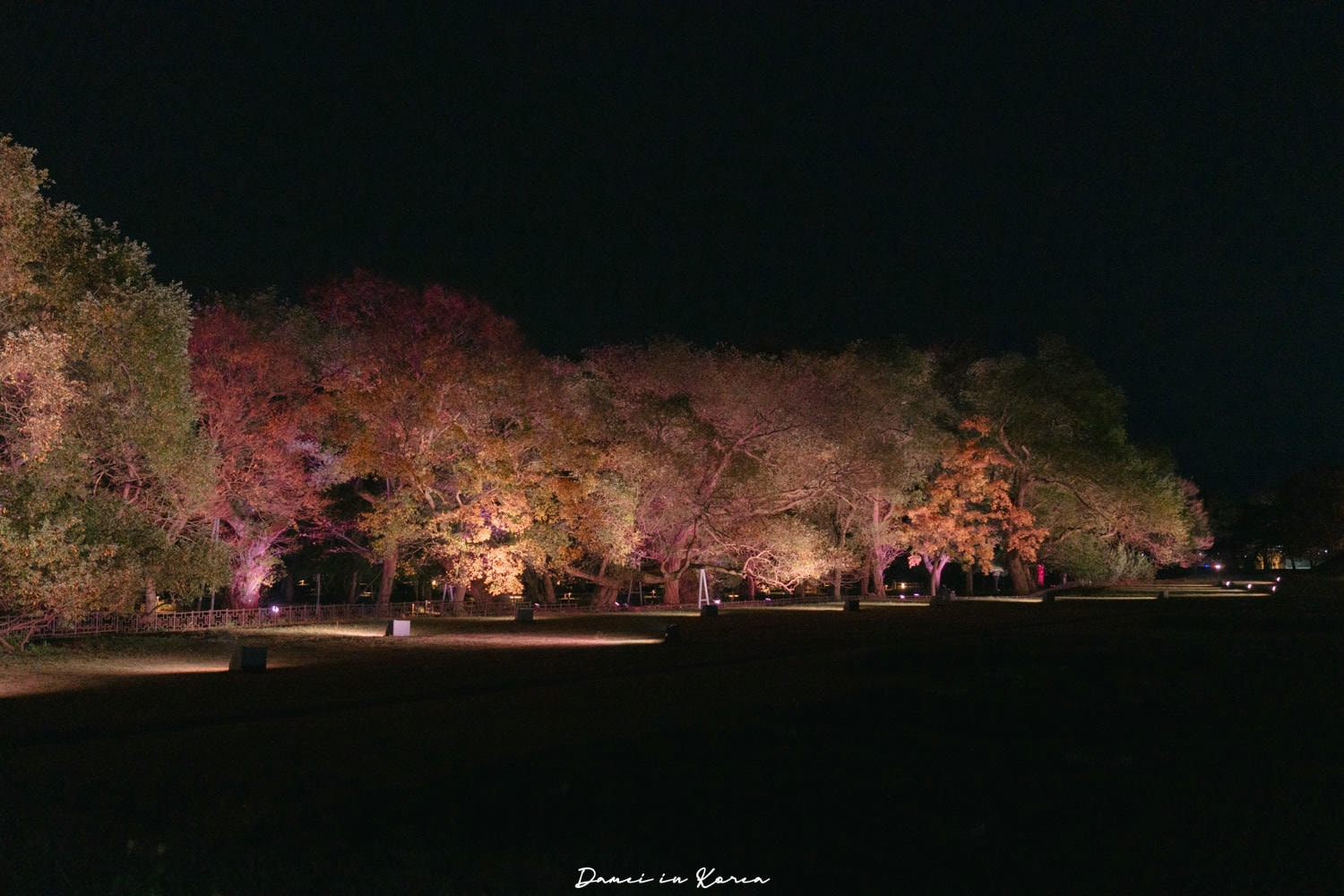 韓國慶州夜景必去「月精橋」超美古老石橋,秋日夜晚浪漫不已 - 第23張圖