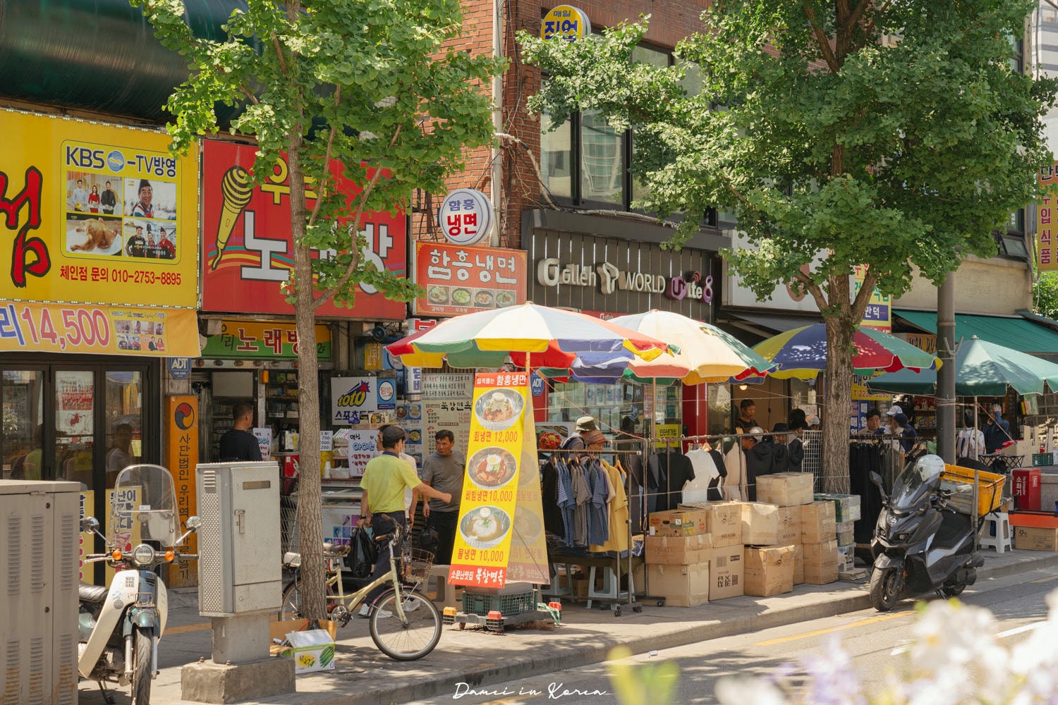 韓國首爾|東廟清燉雞腿刀削麵 동묘백숙닭국수-半雞清燉湯麵,份量大也很多饕客來訪 - 第2張圖