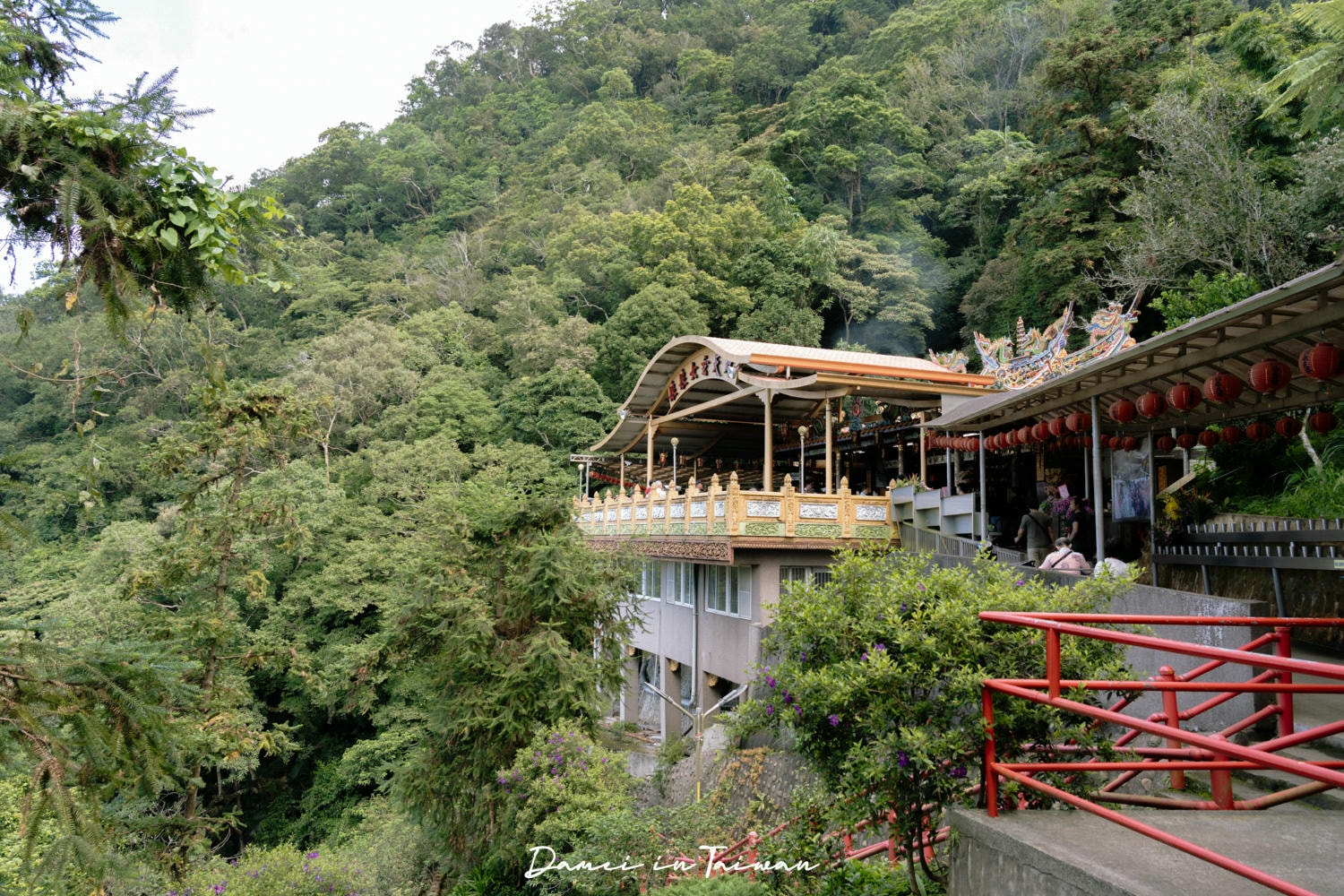 苗栗獅潭一日遊,走進最美仙境取仙水,再製作自己的多肉植物上板! - 第12張圖