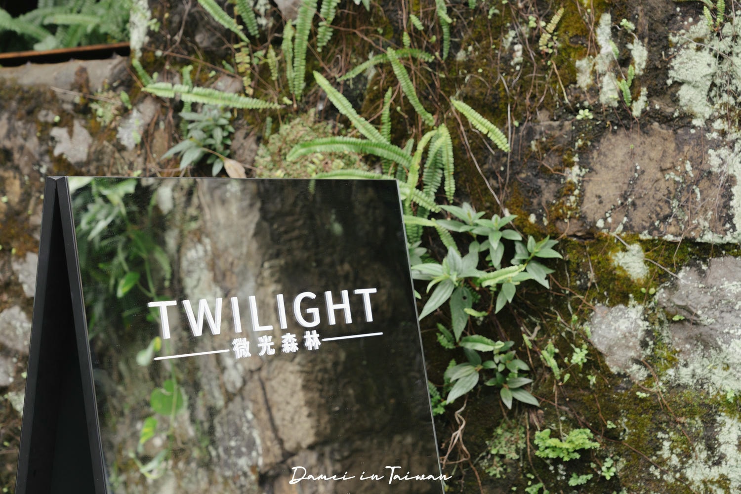 九份早午餐「微光森林 Twilight Cafe」隱山林玻璃屋咖啡早午餐館,遠眺北海岸 - 第23張圖