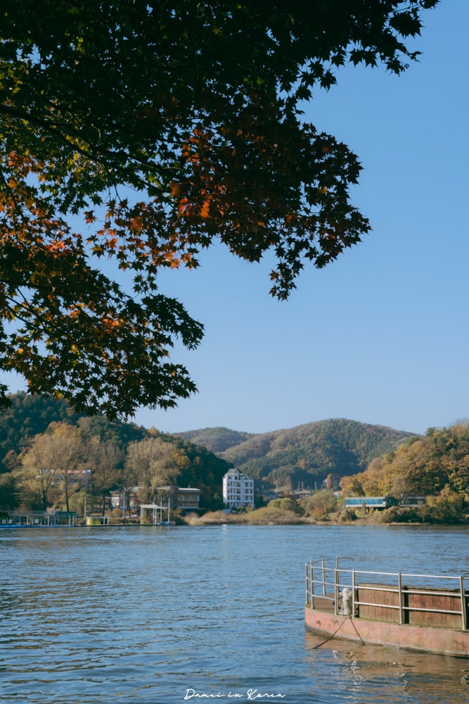 南怡島一日遊,交通、美食、附近景點 - 第23張圖