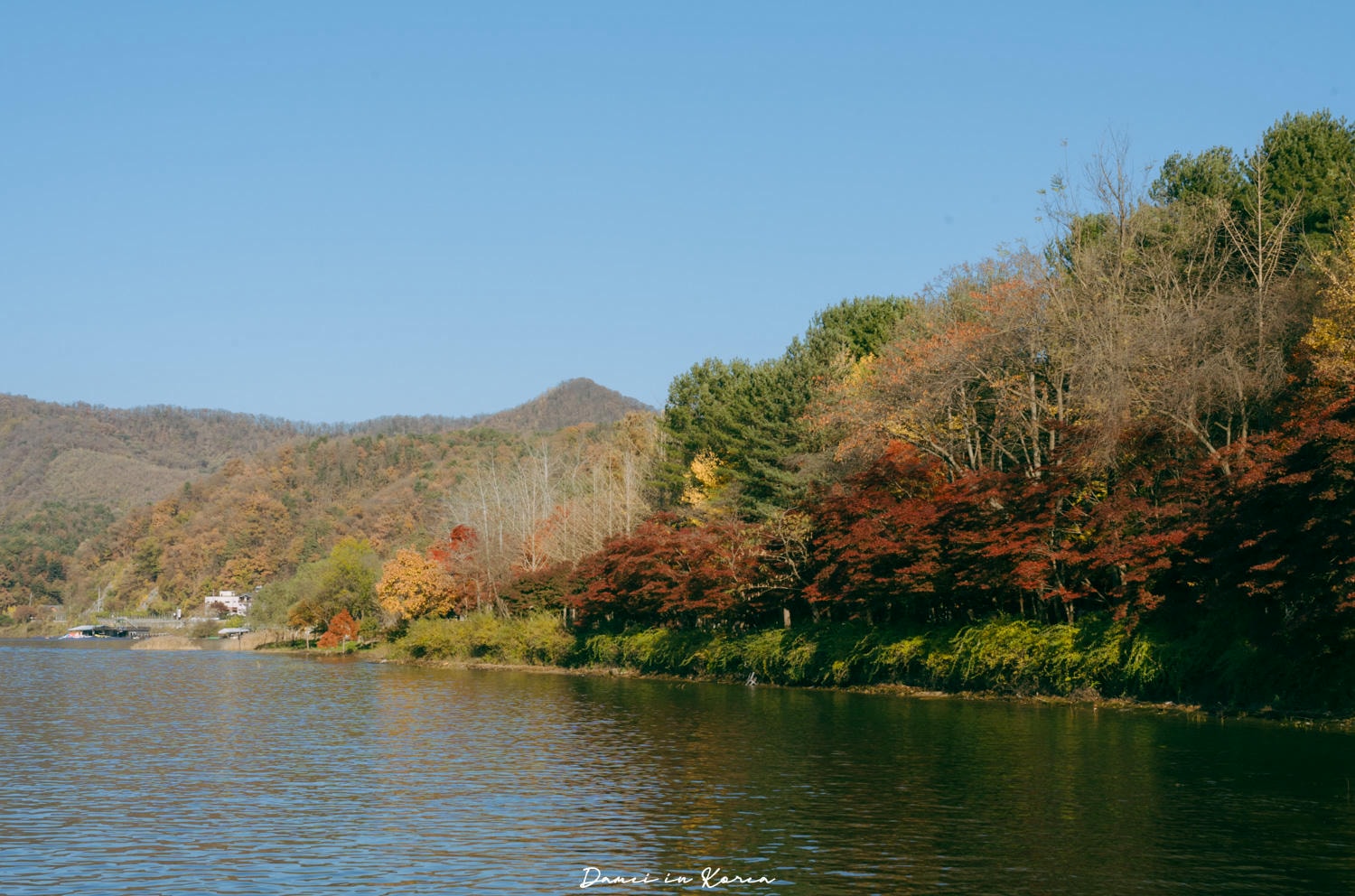 南怡島一日遊,交通、美食、附近景點 - 第10張圖