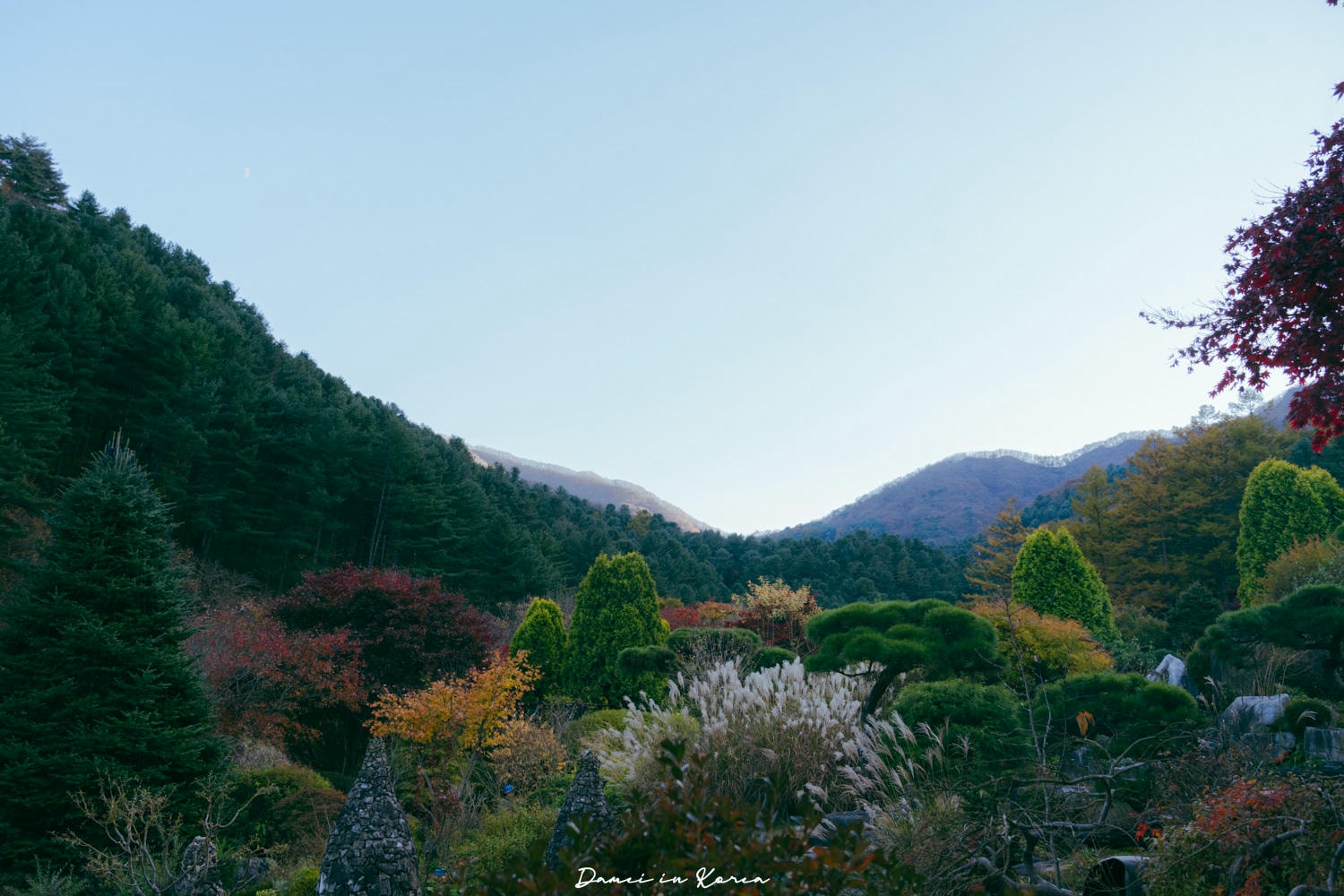南怡島一日遊,交通、美食、附近景點 - 第37張圖