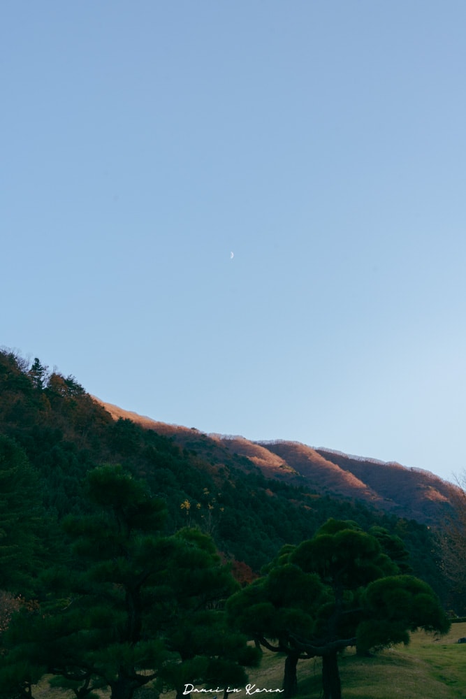 南怡島一日遊,交通、美食、附近景點 - 第42張圖