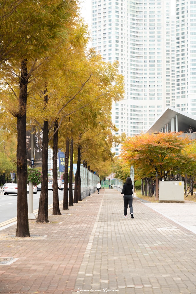 釜山電影殿堂-讓人驚艷的懸吊式建築,釜山電影節場地參訪 - 第22張圖