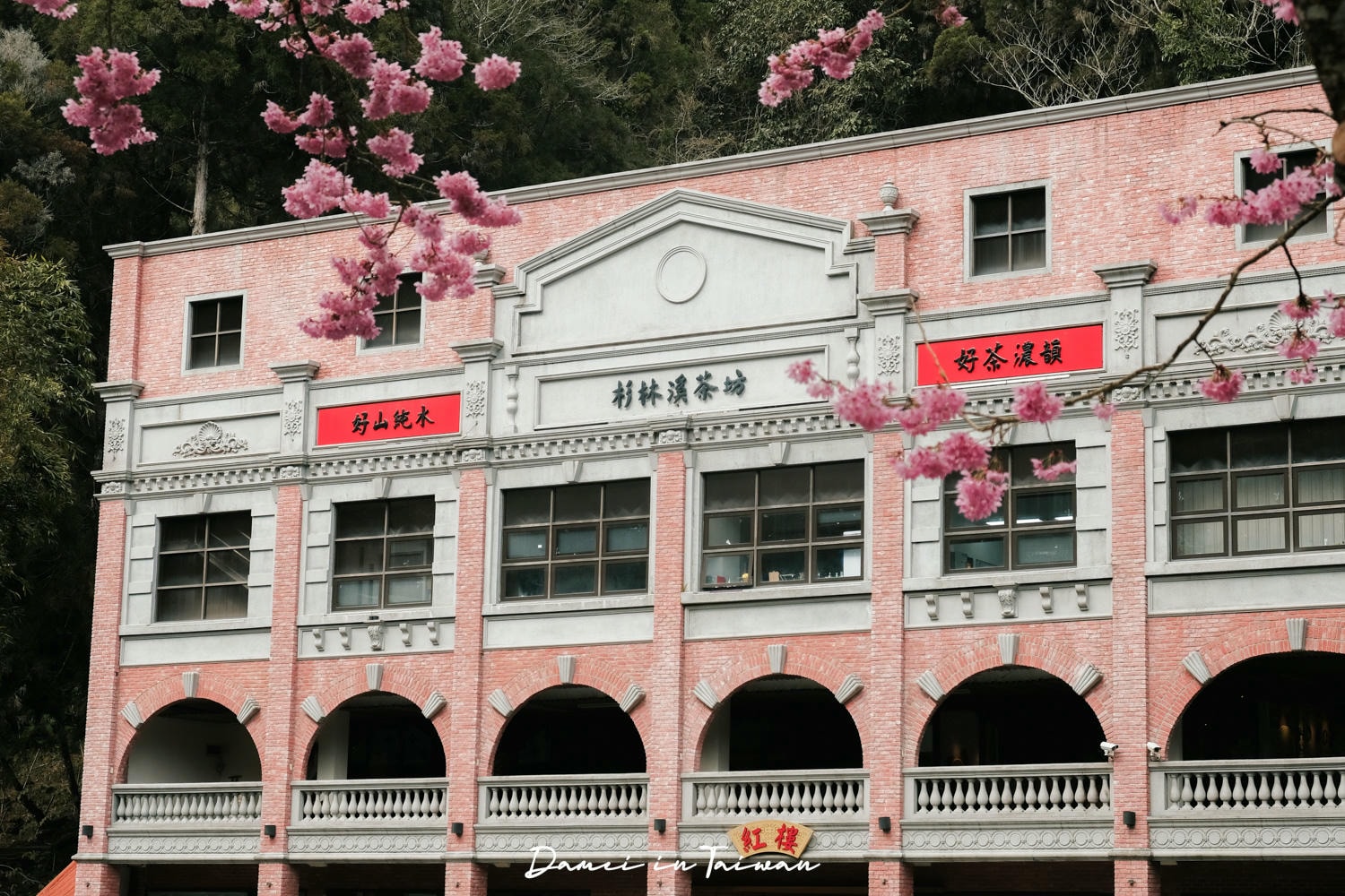 杉林溪櫻花季-染上整片粉色的山林,最新門票、遊園交通資訊 - 第5張圖