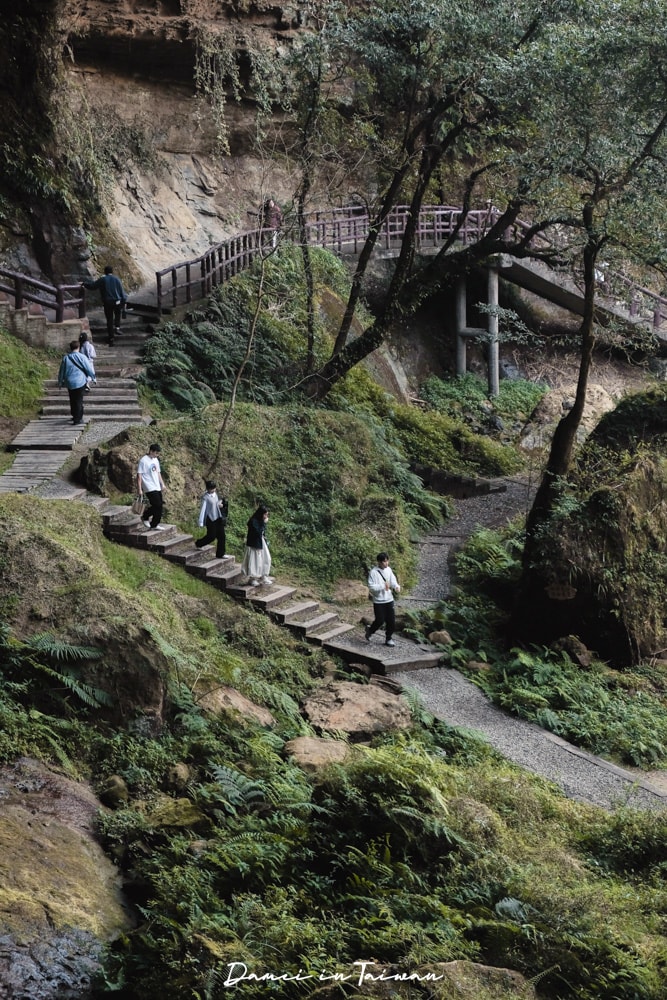 杉林溪櫻花季-染上整片粉色的山林,最新門票、遊園交通資訊 - 第40張圖