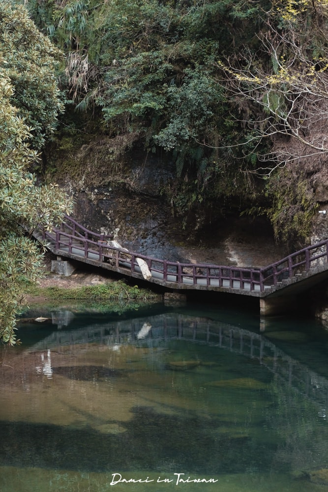 杉林溪櫻花季-染上整片粉色的山林,最新門票、遊園交通資訊 - 第46張圖