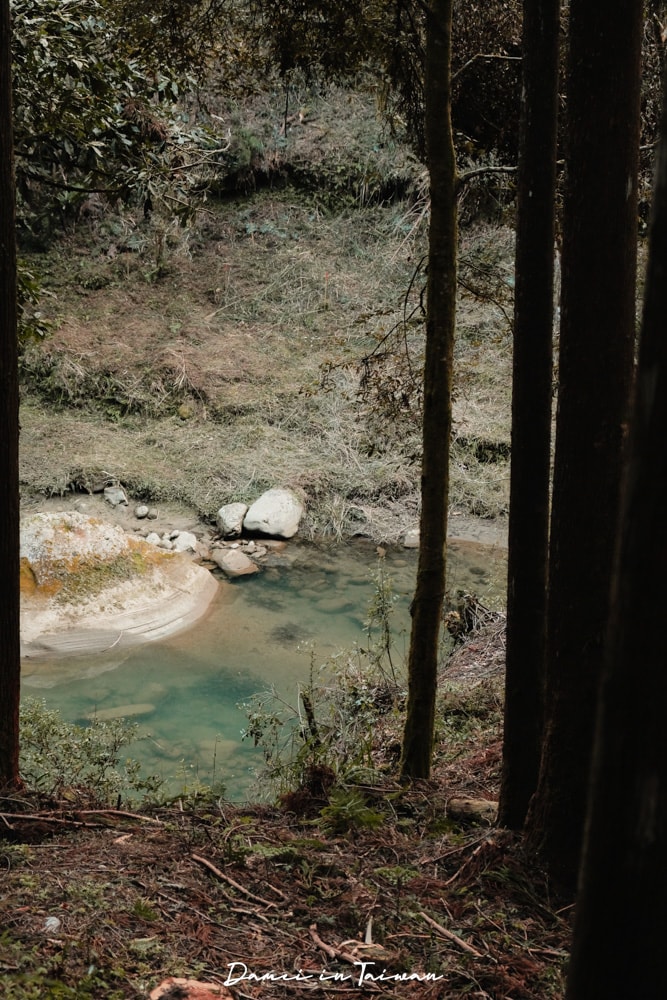 杉林溪櫻花季-染上整片粉色的山林,最新門票、遊園交通資訊 - 第53張圖