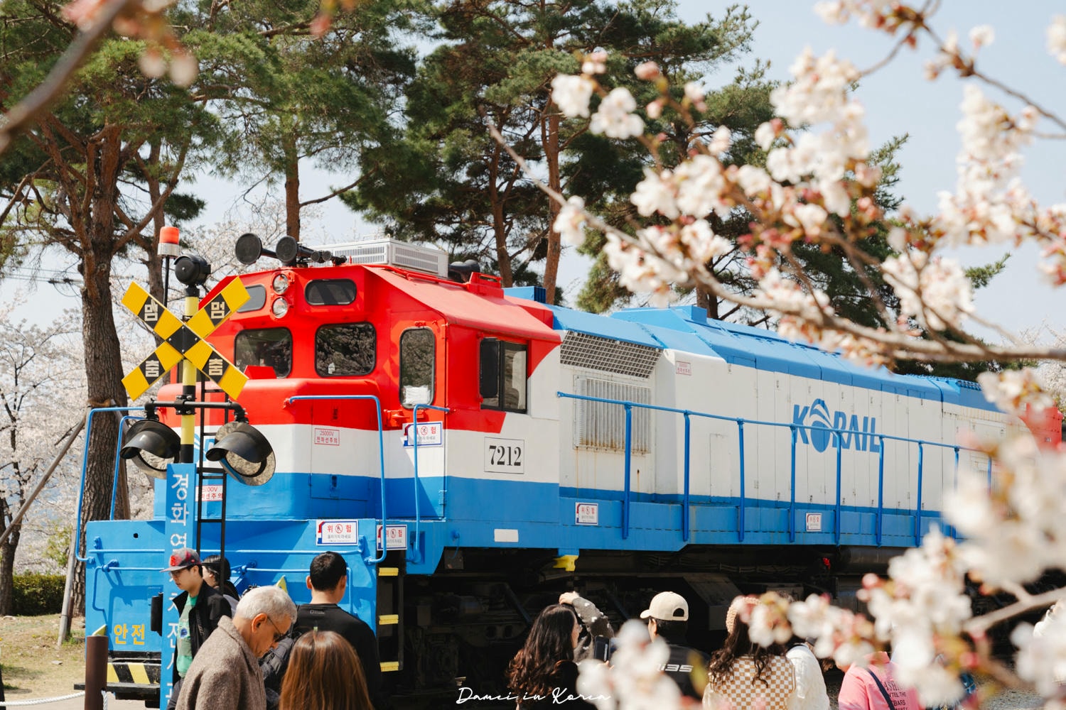 鎮海賞櫻一日遊|最美櫻花隧道,必拍火車與餘佐川浪漫花海! - 第9張圖