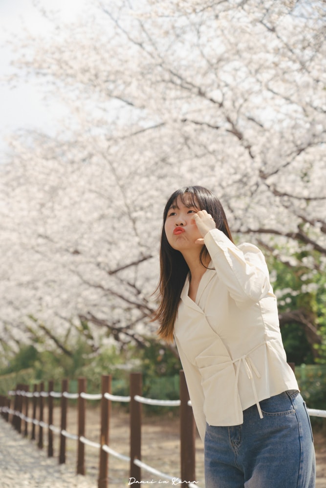 鎮海賞櫻一日遊|最美櫻花隧道,必拍火車與餘佐川浪漫花海! - 第23張圖