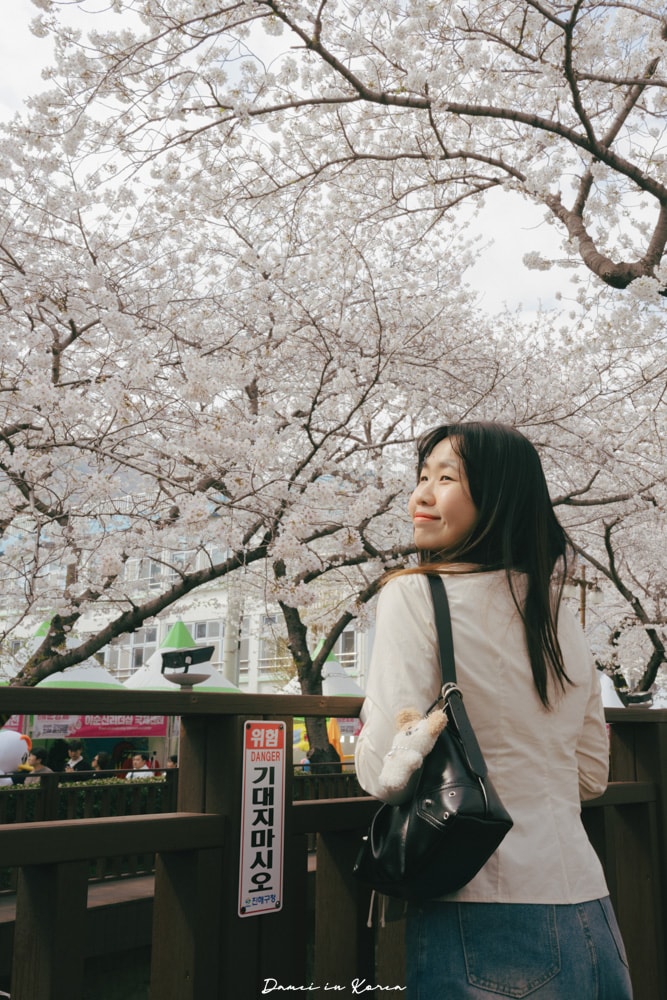 鎮海賞櫻一日遊|最美櫻花隧道,必拍火車與餘佐川浪漫花海! - 第32張圖
