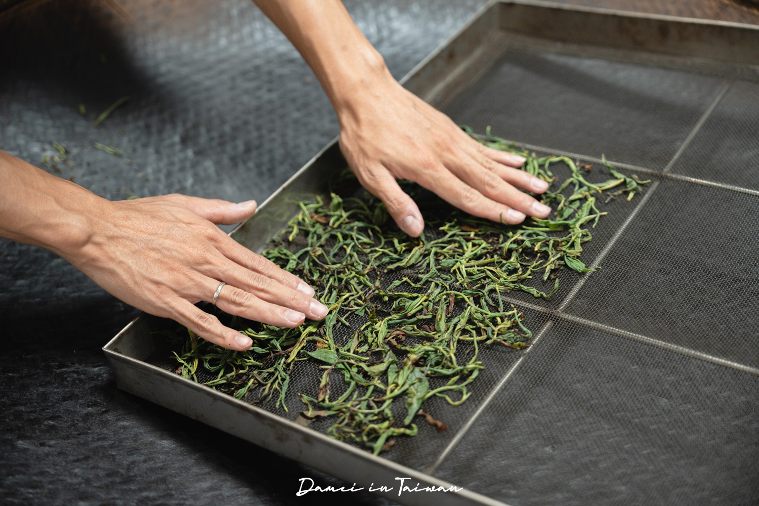 南投魚池「Hugosum和菓森林」療癒的紅茶DIY課程、下午茶饗宴 - 第23張圖