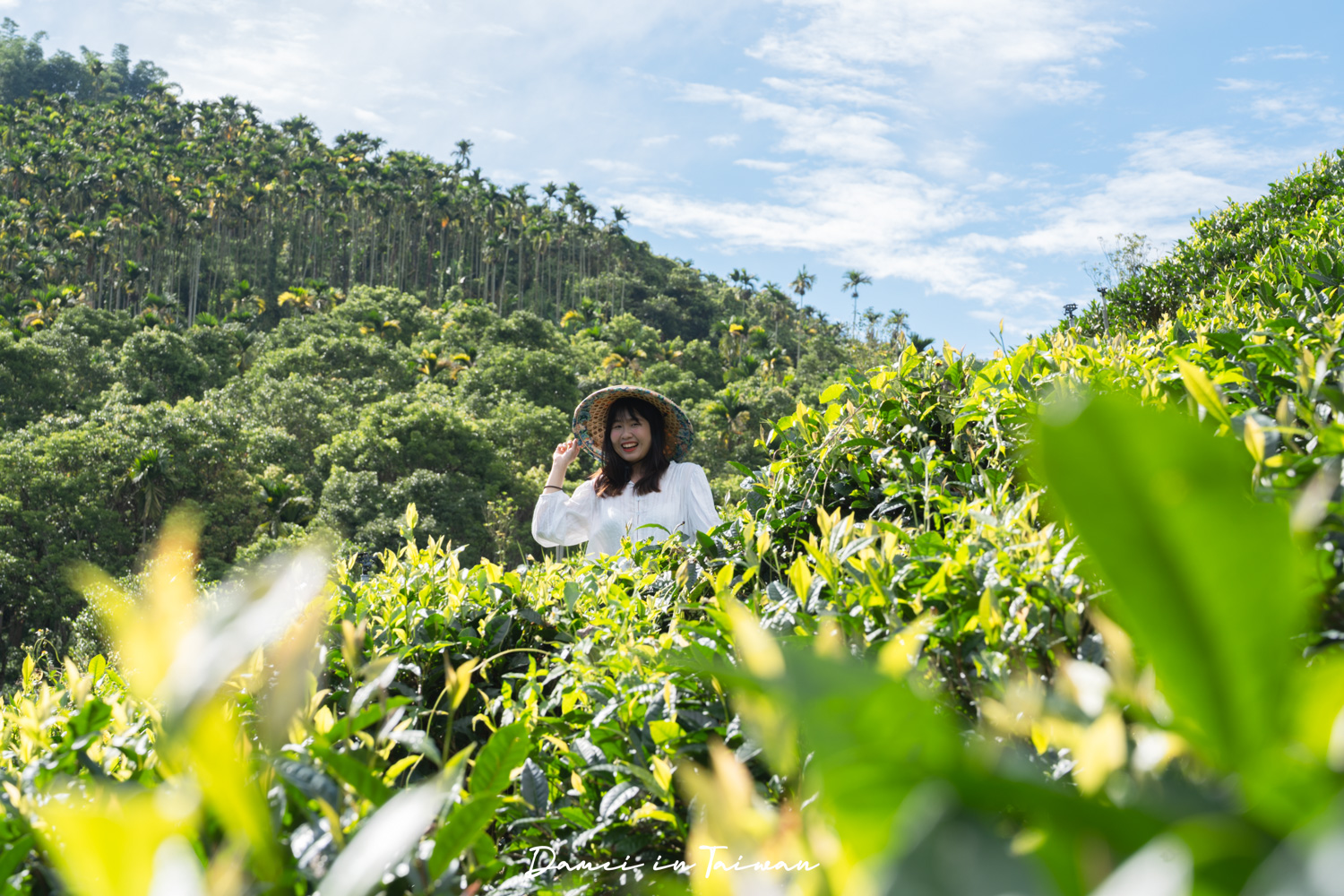 南投魚池「Hugosum和菓森林」療癒的紅茶DIY課程、下午茶饗宴 - 第10張圖