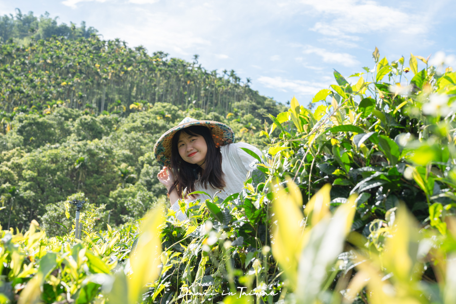 南投魚池「Hugosum和菓森林」療癒的紅茶DIY課程、下午茶饗宴 - 第11張圖