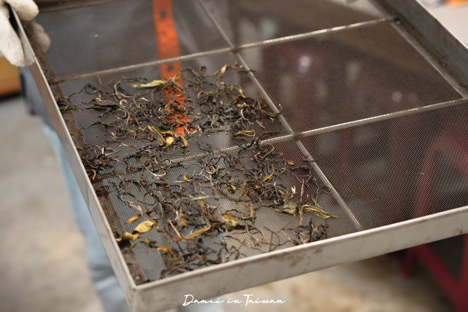 南投魚池「Hugosum和菓森林」療癒的紅茶DIY課程、下午茶饗宴 - 第24張圖