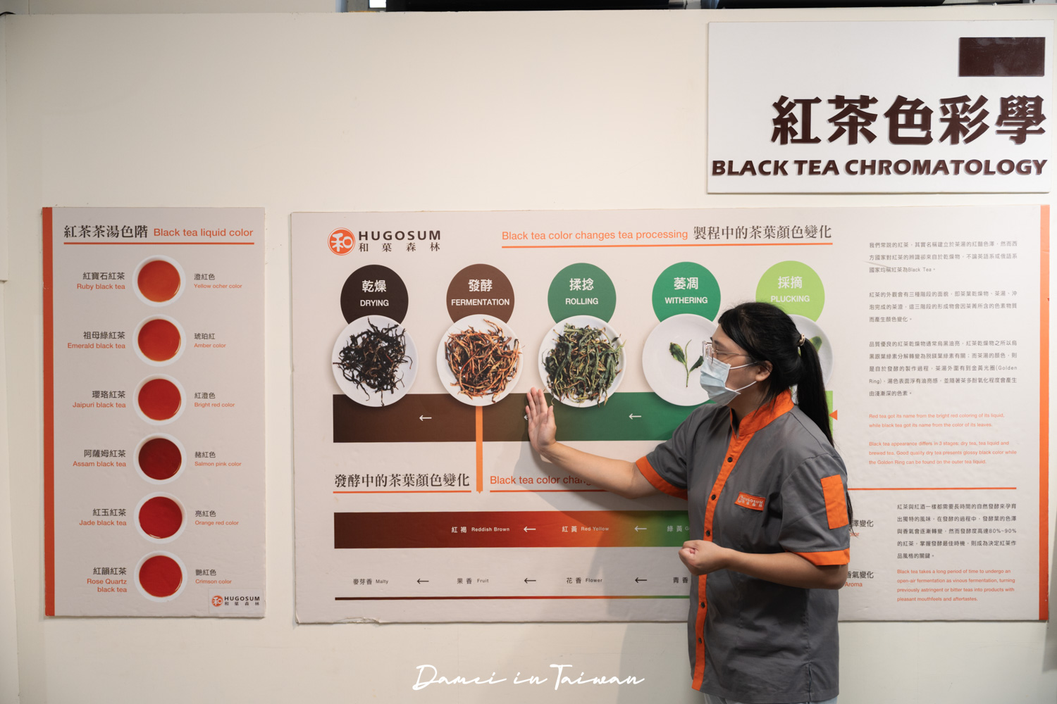 南投魚池「Hugosum和菓森林」療癒的紅茶DIY課程、下午茶饗宴 - 第19張圖
