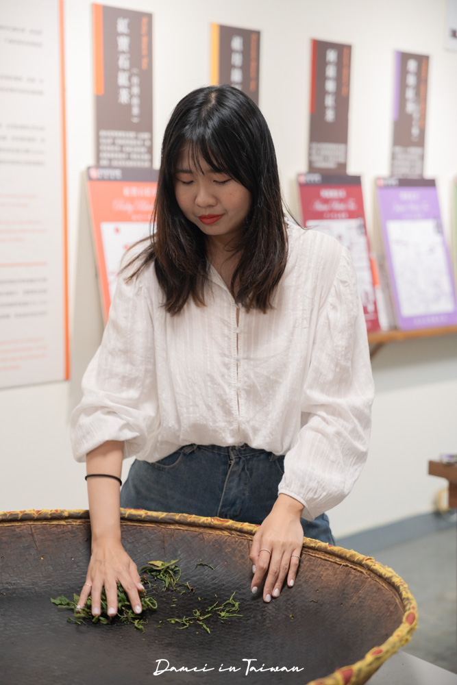 南投魚池「Hugosum和菓森林」療癒的紅茶DIY課程、下午茶饗宴 - 第20張圖