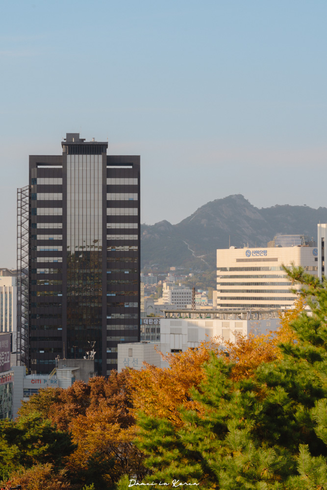 首爾賞楓推薦!南山白凡廣場-首爾靜謐散步景點,眺望南山塔絕佳視野 - 第19張圖