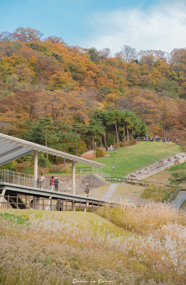 首爾賞楓推薦!南山白凡廣場-首爾靜謐散步景點,眺望南山塔絕佳視野 - 第30張圖