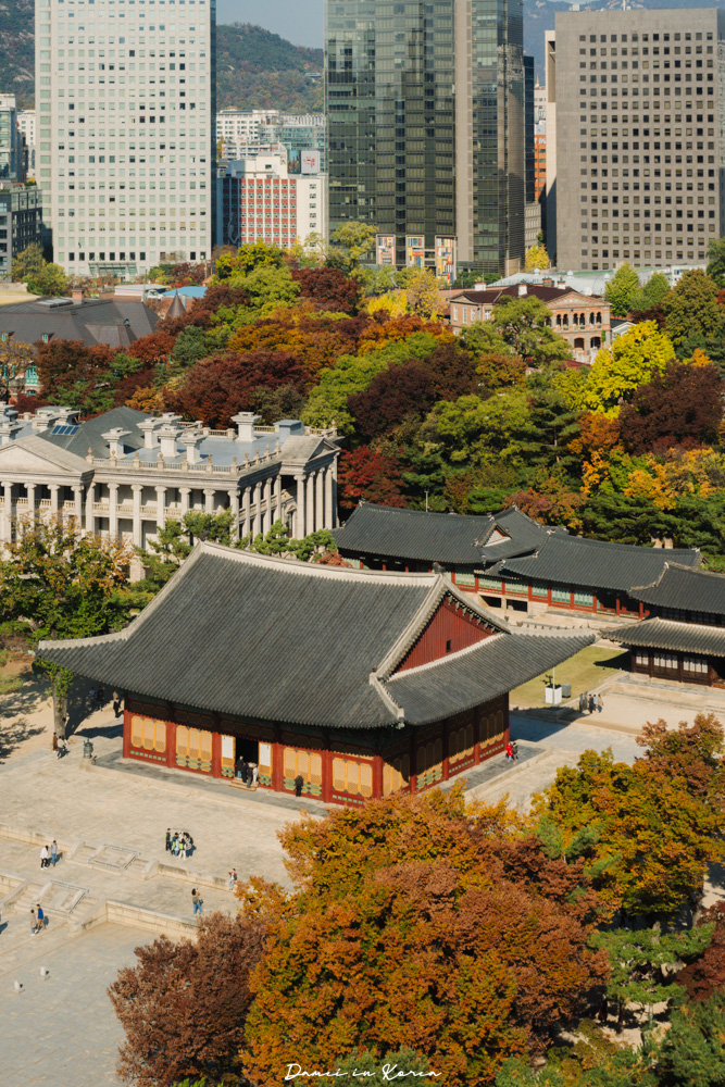 2025首爾秋季必去!貞洞展望台-眺望超美銀杏樹與首爾歷史及現代建築發展 - 第13張圖