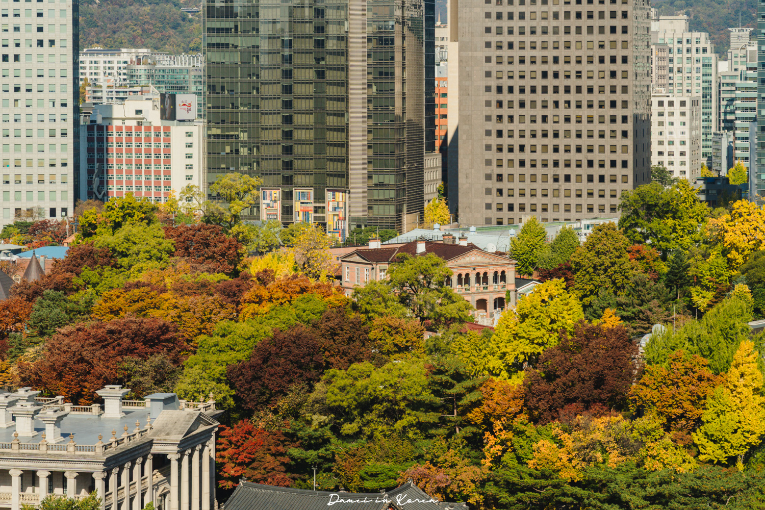 2025首爾秋季必去!貞洞展望台-眺望超美銀杏樹與首爾歷史及現代建築發展 - 第14張圖