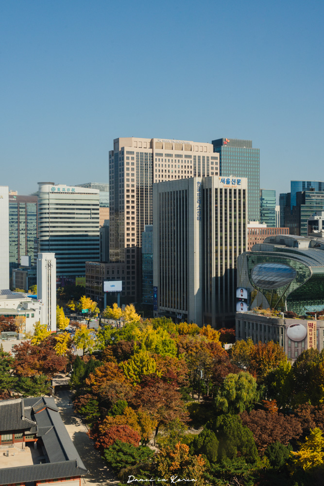 2025首爾秋季必去!貞洞展望台-眺望超美銀杏樹與首爾歷史及現代建築發展 - 第15張圖