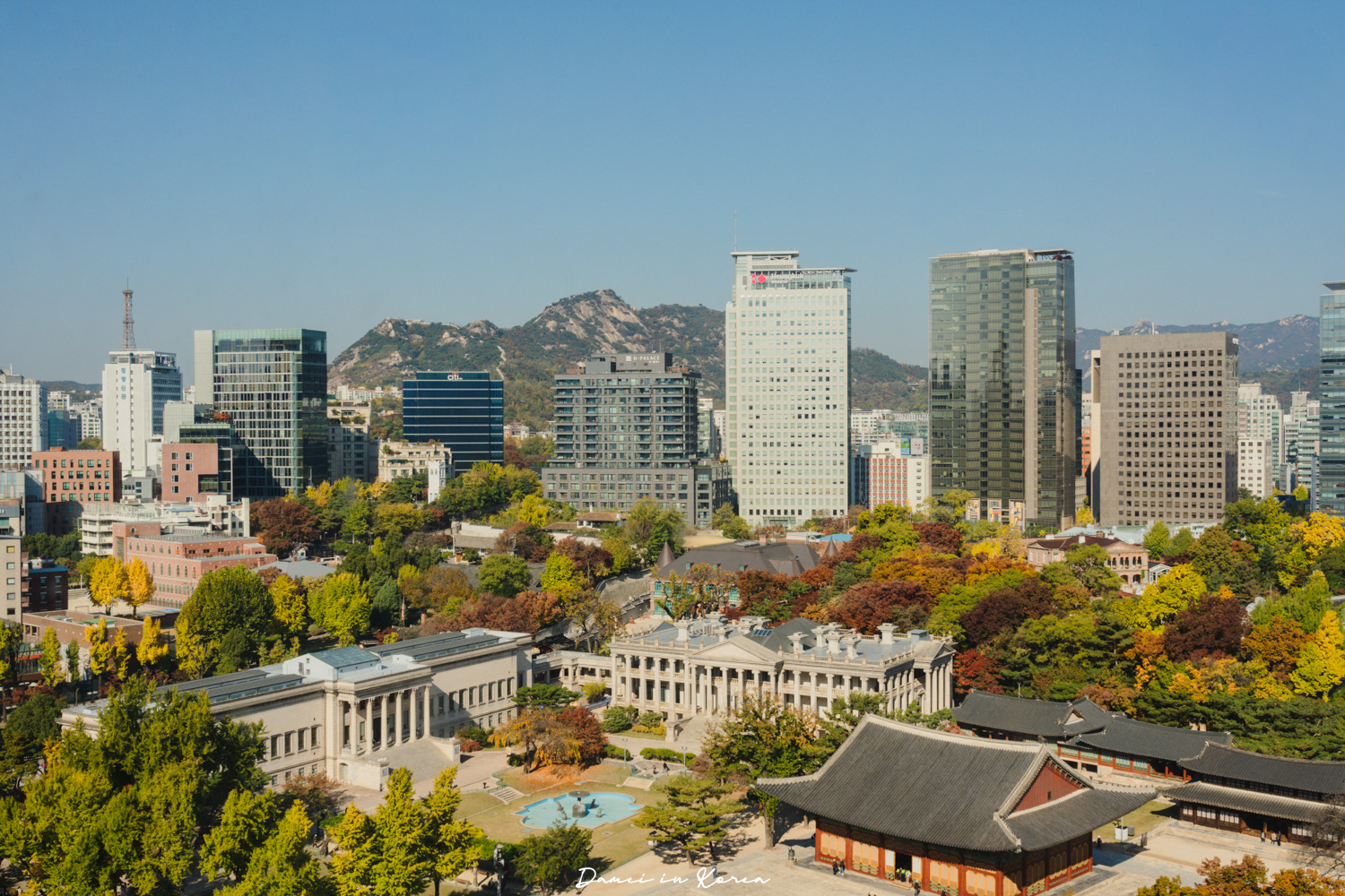 2025首爾秋季必去!貞洞展望台-眺望超美銀杏樹與首爾歷史及現代建築發展 - 第26張圖