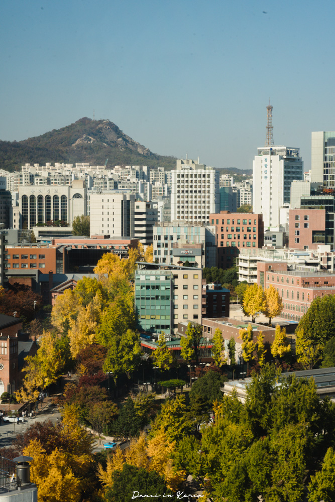 2025首爾秋季必去!貞洞展望台-眺望超美銀杏樹與首爾歷史及現代建築發展 - 第16張圖