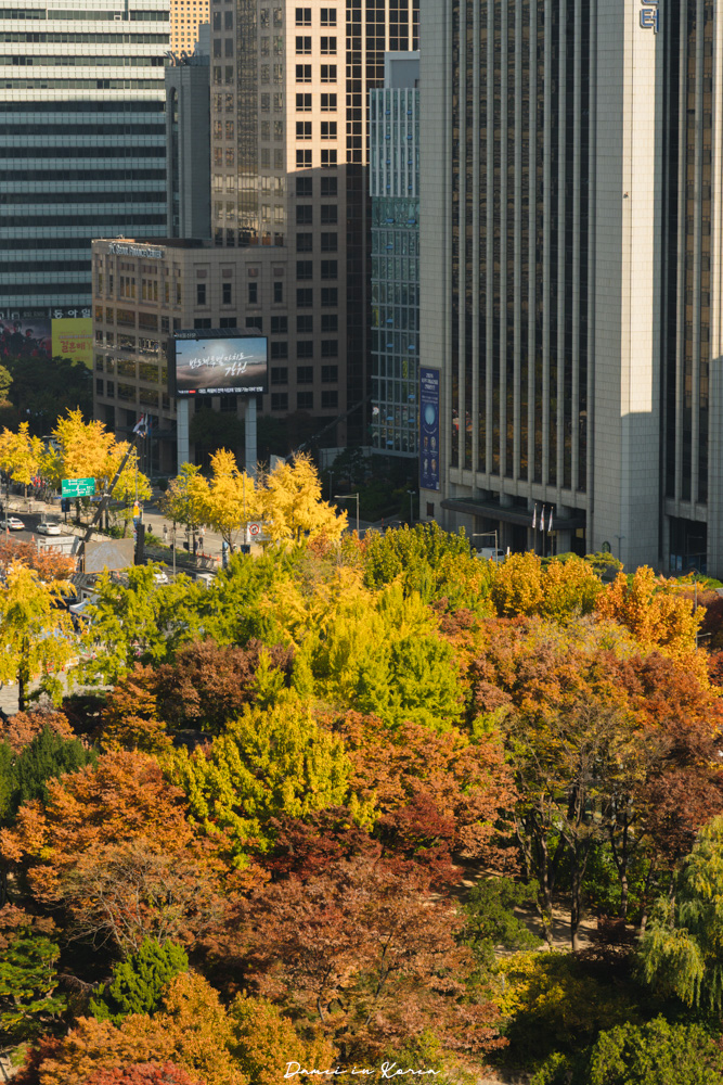 2025首爾秋季必去!貞洞展望台-眺望超美銀杏樹與首爾歷史及現代建築發展 - 第18張圖