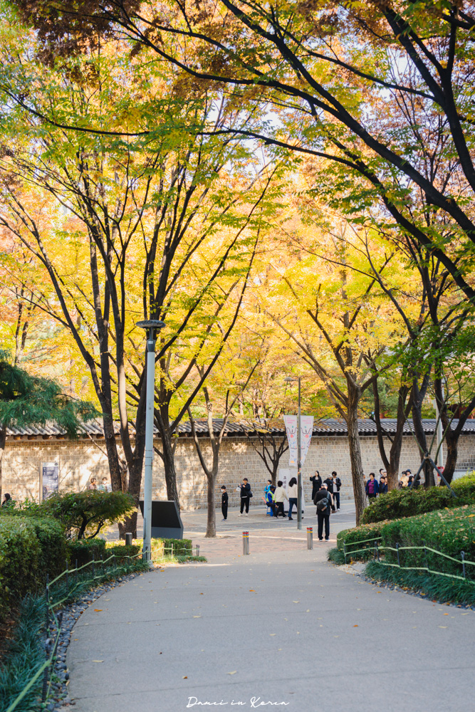 2025首爾秋季必去!貞洞展望台-眺望超美銀杏樹與首爾歷史及現代建築發展 - 第3張圖