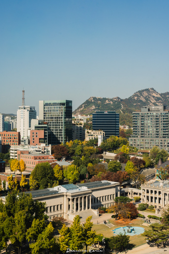 2025首爾秋季必去!貞洞展望台-眺望超美銀杏樹與首爾歷史及現代建築發展 - 第11張圖