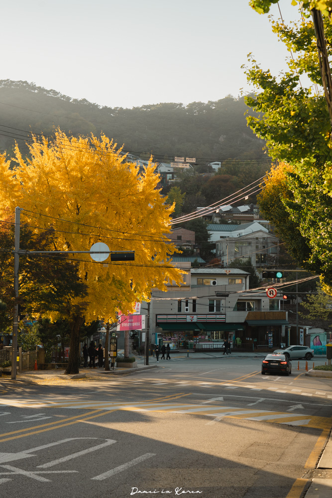 2025首爾賞銀杏必去8個景點,療癒的秋日浪漫之路 - 第12張圖